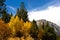 Fall Comes To The Eastern Sierra\'s