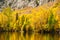 Fall Comes To The Eastern Sierra\'s