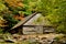 Fall comes to a valley in the Great Smoky Mountains.