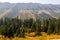 Fall coulours on the hillside through a smoky haze. Peter Lougheed Provincial Park, Alberta, Canada