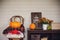 Fall at country house. Seasonal rustic decorations with cozy blankets and flowers