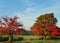 Fall in the country with red maple trees, split rail fence and b