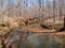 Fall Creek Trail at Mayo River State Park