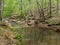 Fall Creek Trail at Mayo River State Park