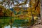 Fall Cypress Trees at Garner State Park, Texas