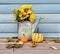 Fall day with an old watering can full of sunflowers