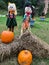 Fall decoration with two scarecrows and pumpkins