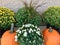 Fall Display with Pumpkins and Mums