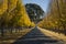 Fall drive through Napa
