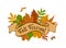 Fall festival vintage badge with forest autumn colorful leaves