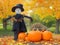 Fall Festival Whimsy: Pumpkin Scarecrow in Backyard Bliss