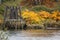 Fall Foliage Along The Banks of the Snohomish River at Lowell Park