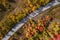 Fall foliage along scenic byway Snow basin road in Utah