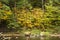 Fall foliage along the Sugar River in Newport, New Hampshire