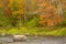 Fall foliage along the Sugar River in Newport, New Hampshire