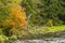 Fall foliage along the Sugar River in Newport, New Hampshire