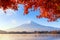 Fall foliage in autumn season and Mountain Fuji near Fujikawaguchiko, Yamanashi. Fuji Five lakes. Trees in Japan with blue sky ba