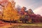 Fall foliage. Autumnal colors landscape