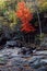 Fall Foliage at Cunningham Falls in Maryland