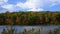 Fall Foliage Forest on Lakeshore