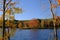 Fall Foliage Forest on Sunny Lakeshore