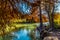 Fall Foliage at Guadalupe State Park, Texas