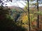 Fall foliage on a hiking trail on the Appalachian Trail