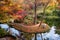 Fall Foliage in the Japanese Garden