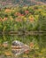 Fall foliage by a lake in Northern Maine.