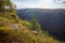 Fall foliage at Leonard Harrison State Park in an afternoon. Pine Creek Gorge, the Grand Canyon of Pennsylvania