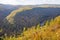 Fall foliage at Leonard Harrison State Park in an afternoon. Pine Creek Gorge, the Grand Canyon of Pennsylvania