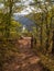 Fall foliage at Leonard Harrison State Park in an afternoon. Pine Creek Gorge, the Grand Canyon of Pennsylvania