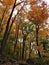 Fall Foliage Line Rocky Hiking Trail