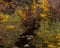 Fall foliage at Lithia Park creek in Ashland