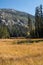 Fall foliage in Mammoth Lakes, California, with Sotcher Lake partially hidden in the background. High elevation lake in the Sierra