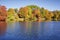 Fall Foliage next to a Pond