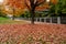 Fall foliage in Ottawa, Ontario, Canada. Rideau Canal Pathway autumn leaves scenery.