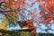 Fall foliage and the pagoda at Jojakko-ji Temple