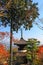 Fall foliage and the pagoda at Jojakko-ji Temple