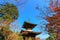 Fall foliage and the pagoda at Jojakko-ji Temple