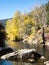 Fall foliage on Skykomish river, US highway 2, Cascade Loop