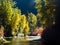 Fall foliage on Skykomish river, US highway 2, Cascade Loop