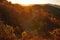 Fall foliage Skyline overlook, Blue Ridge Parkway