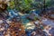 Fall Foliage on Stunning Maple Trees, With Large Boulders and Clear Water in Lost Maples