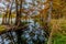 Fall Foliage Surrounding the Frio River at Garner State Park