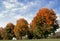 Fall Foliage Under Painted Sky