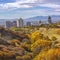 Fall foliage and view of downtown Salt Lake City