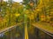 Fall foliage wet road in Vermont, USA