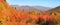 Fall foliage in White mountain national park