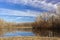 Fall Forest Reflected on Lake